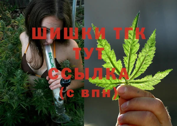 бошки Абаза