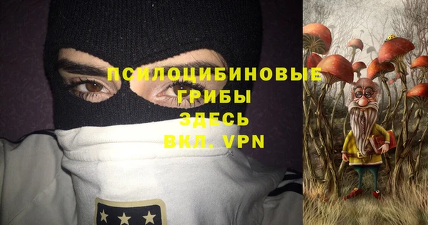 бошки Абаза