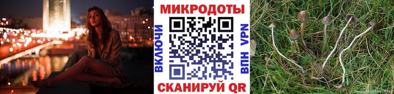 Псилоцибиновые грибы Psilocybine cubensis магазин наркотиков Алатырь